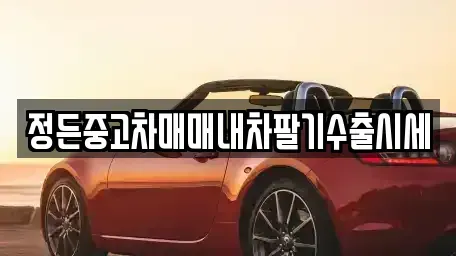 충청북도 충주시 종민동 중고차 전문 정든중고차매매내차팔기수출시세