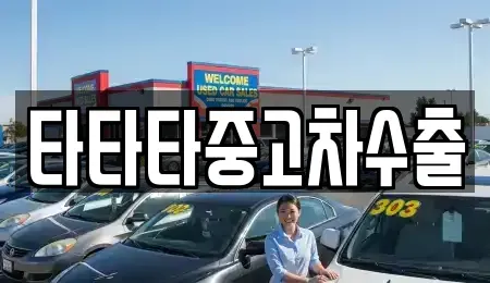 충청북도 충주시 종민동 중고차 전문 타타타중고차수출